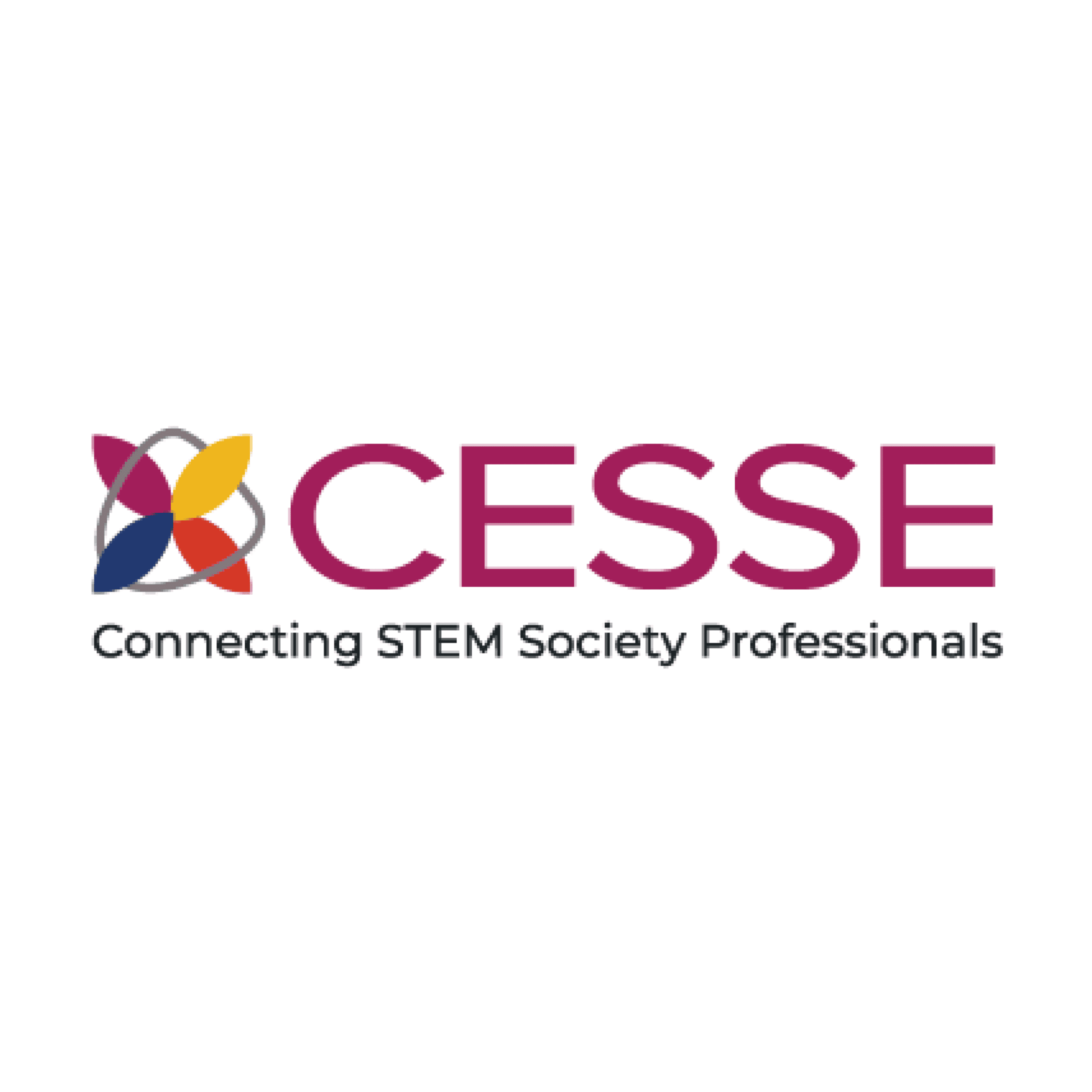 Partner CESSE logo