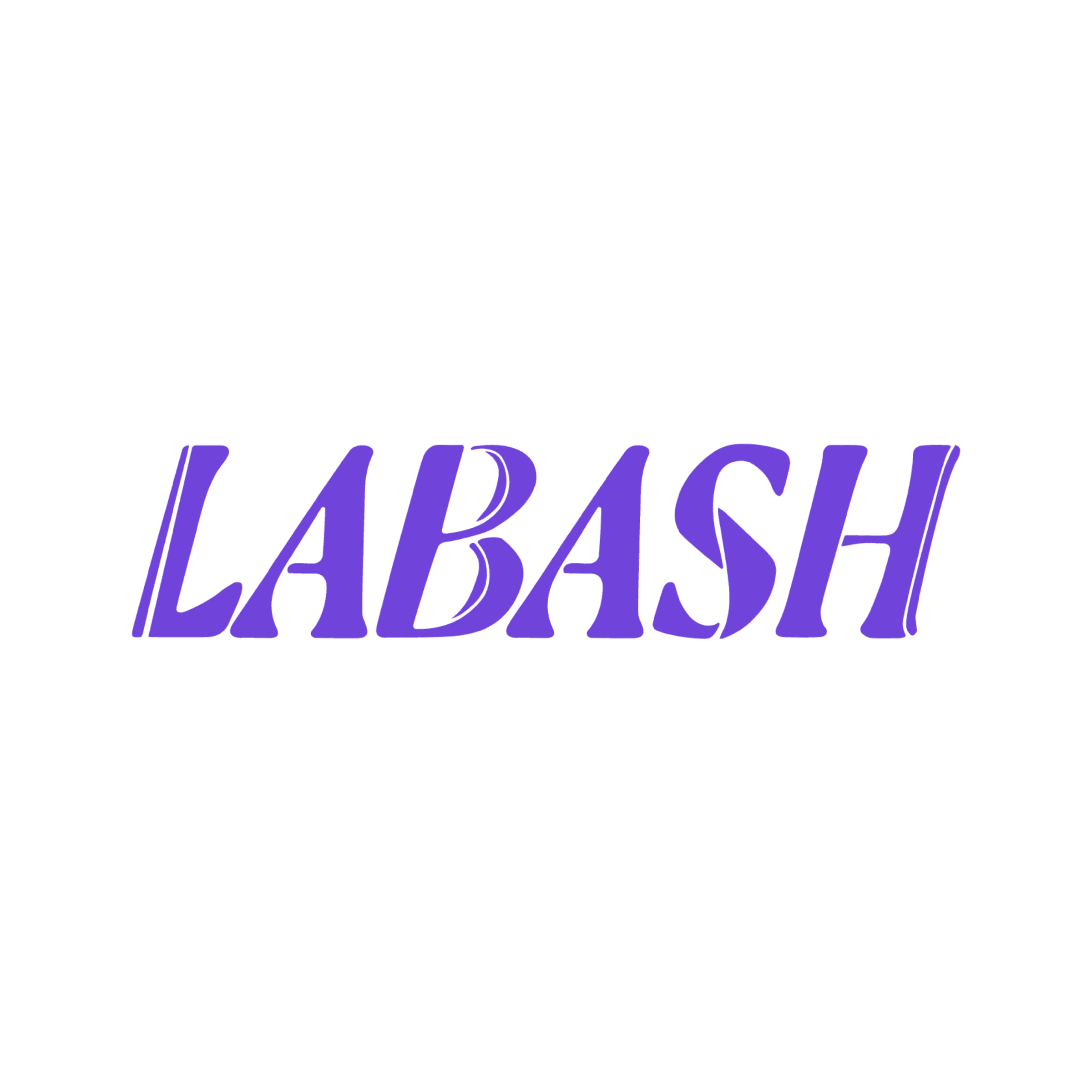 Partner LABASH logo