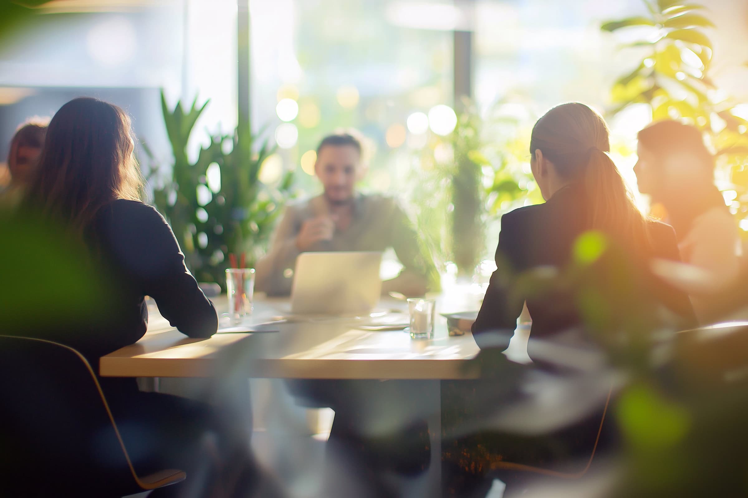 Team of business professionals having a productive meeting in a modern office filled with natural light and lush green plants.