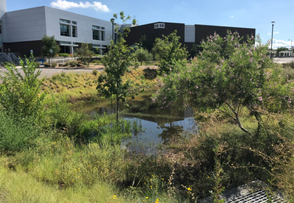 CNM Smith Brasher Hall in Albuquerque, New Mexico.