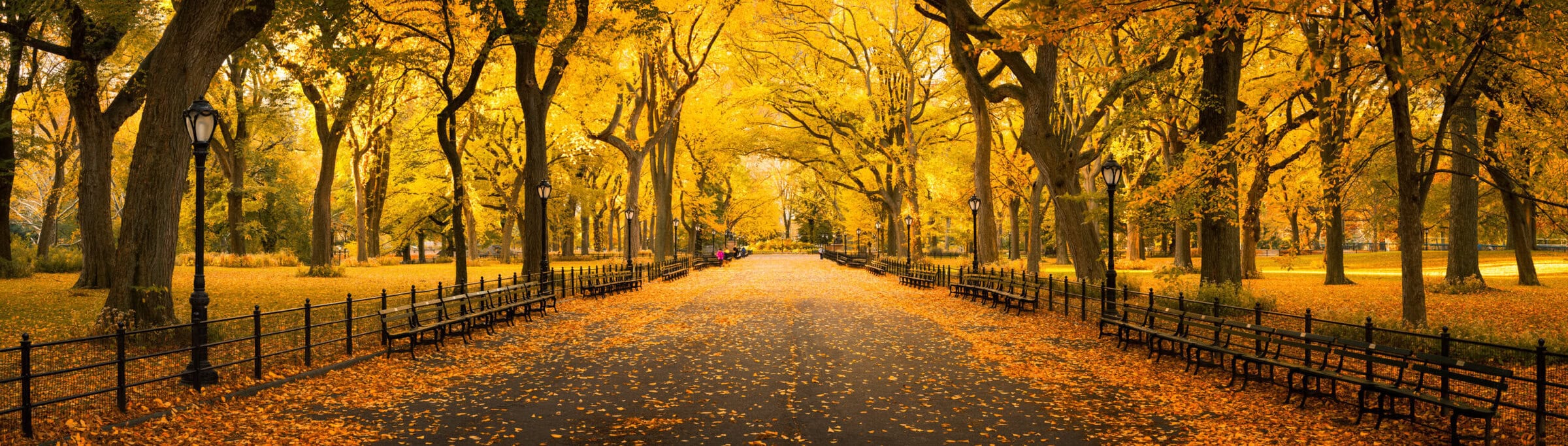 Autumn panorama in Central Park, New York City, USA