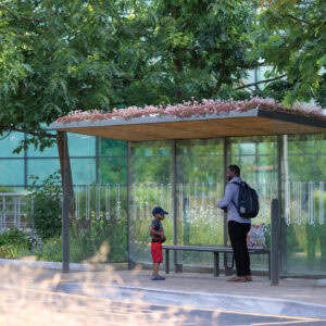 aureo, AE, bus shelter, design: David Karasek, UK, United  Kingdom, Reading International Business Park, green roof, smartcite