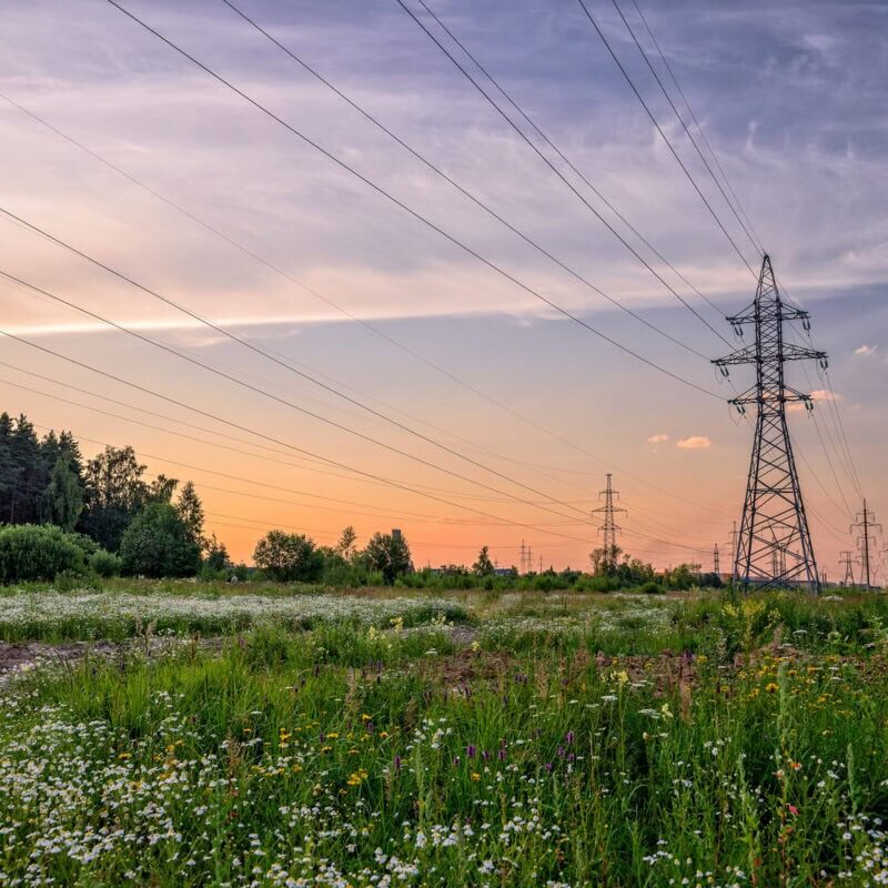 High voltage power line in flower meadow over sunset sky.